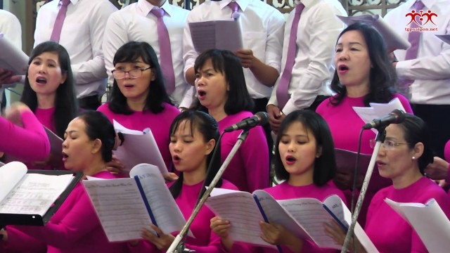 youtube-cover-nytjm8pitm4